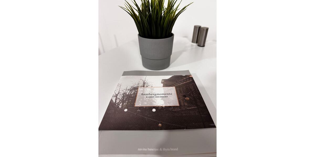 Etagenwohnung Hallstadt - 1 Zimmer, 30 m&sup2;, 55&euro; | Angebot:19901932