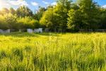 IHR TRAUM VOM EIGENHEIM BEGINNT HIER - Grundstück Hirschaid | Angebot:26988201