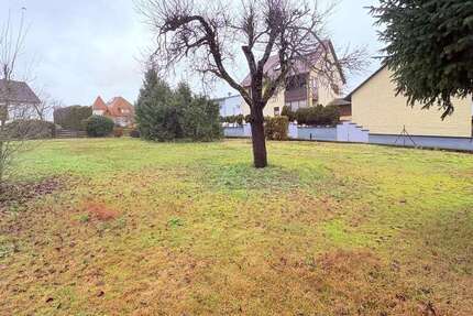 Grundstück Hallerndorf Ot Trailsdorf Trailsdorf - 258.000&euro; | Angebot:23999948