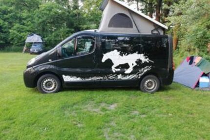 Opel Vivaro 123.456 km 10.500 &euro; Scheßlitz /Bamberg 96110