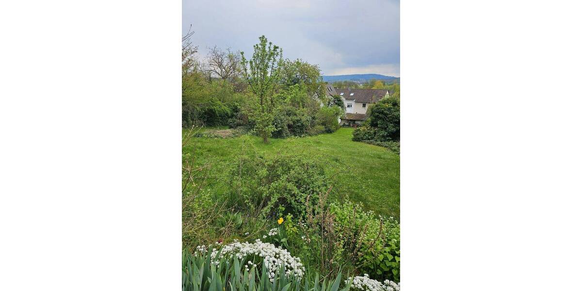 Grundstück Forchheim Reuth - 229.000&euro; | Angebot:26308494