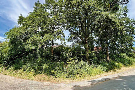 Grundstück Höchstadt / Etzelskirchen Etzelskirchen - 169.000&euro; | Angebot:26160708