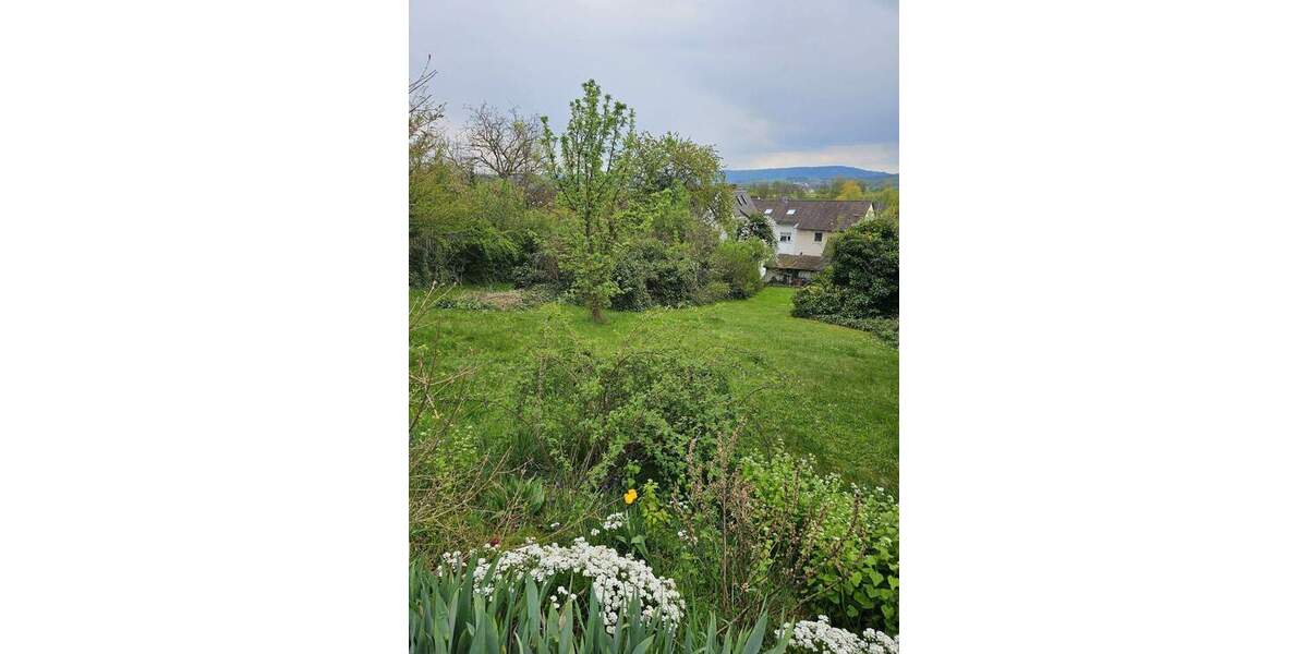 Grundstück Forchheim Reuth - 229.000&euro; | Angebot:26289820