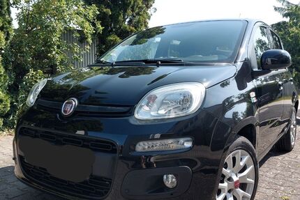 Fiat New Panda 60.000 km 9.999 &euro; Hemhofen 91334