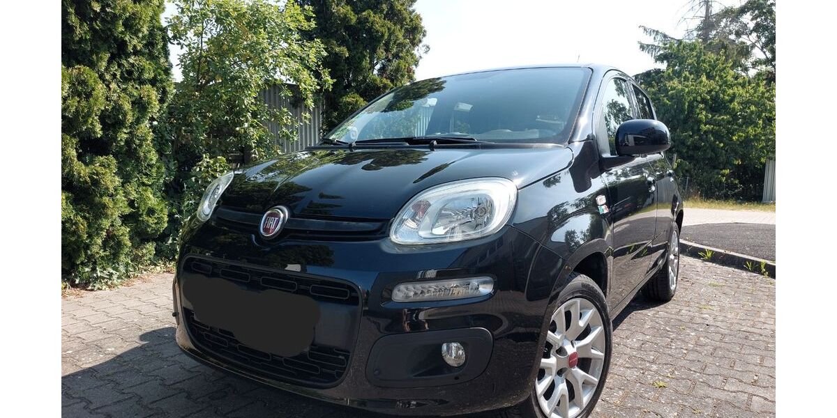 Fiat New Panda 60.000 km 9.999 &euro; Hemhofen 91334