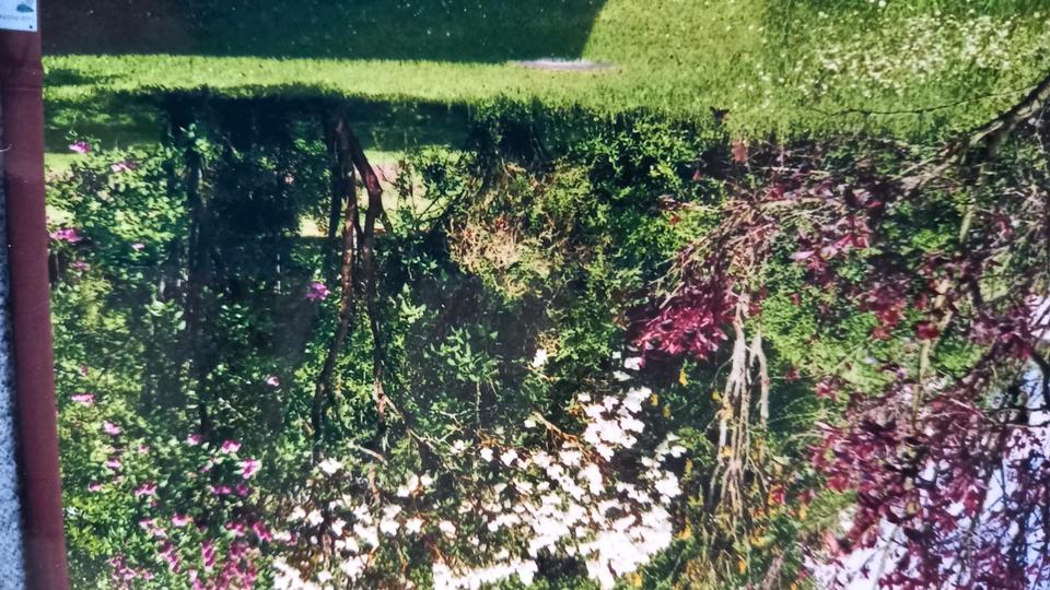 Bungalow Frensdorf - 390.000&euro; | Angebot:25349920