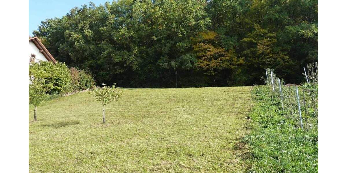 Grundstück Ebelsbach - 150.000&euro; | Angebot:26930986