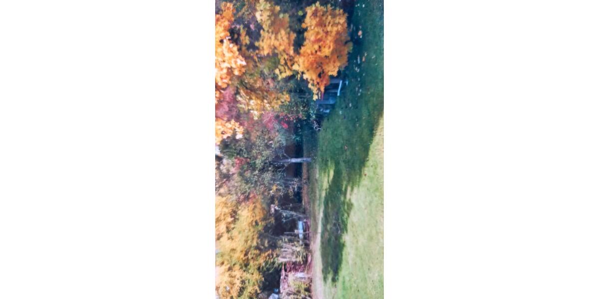 Bungalow Frensdorf - 390.000&euro; | Angebot:25349920