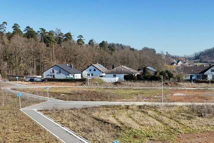 Grundstück Bamberg / Wildensorg Wildensorg - 578.000&euro; | Angebot:25167874