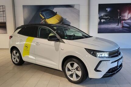 Opel Grandland (X) 53.480 km 26.876 &euro; Ebern 96106