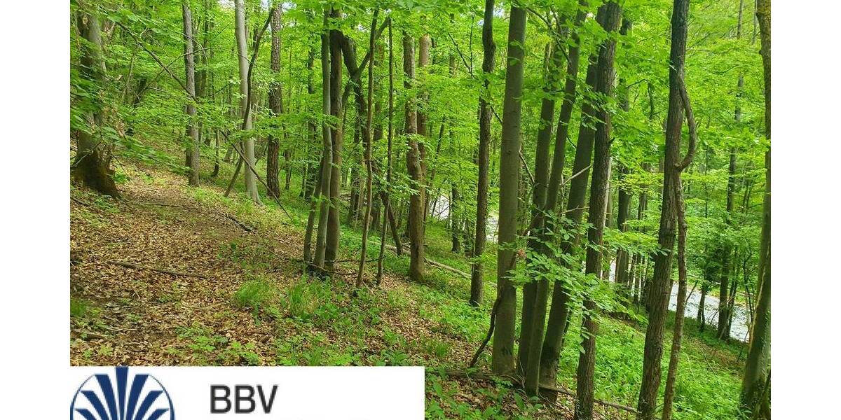 Versteigerungsimmobilie Bad Staffelstein Schönbrunn - 29.000&euro; | Angebot:25996725