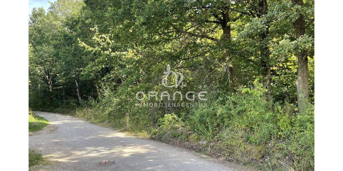 Etagenwohnung Hemhofen - 1 Zimmer, 42 m&sup2;, 210.000&euro; | Angebot:25678541