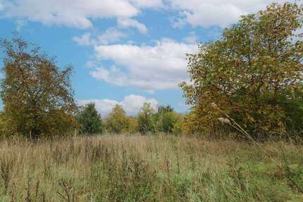 Grundstück Forchheim - 300.000&euro; | Angebot:25965521