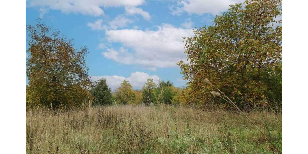 Grundstück Forchheim - 300.000&euro; | Angebot:25965521