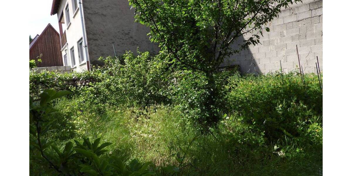 Mehrfamilienhaus, Wohnhaus Mühlhausen - 1 Zimmer, 370 m&sup2;, 295.000&euro; | Angebot:25695706