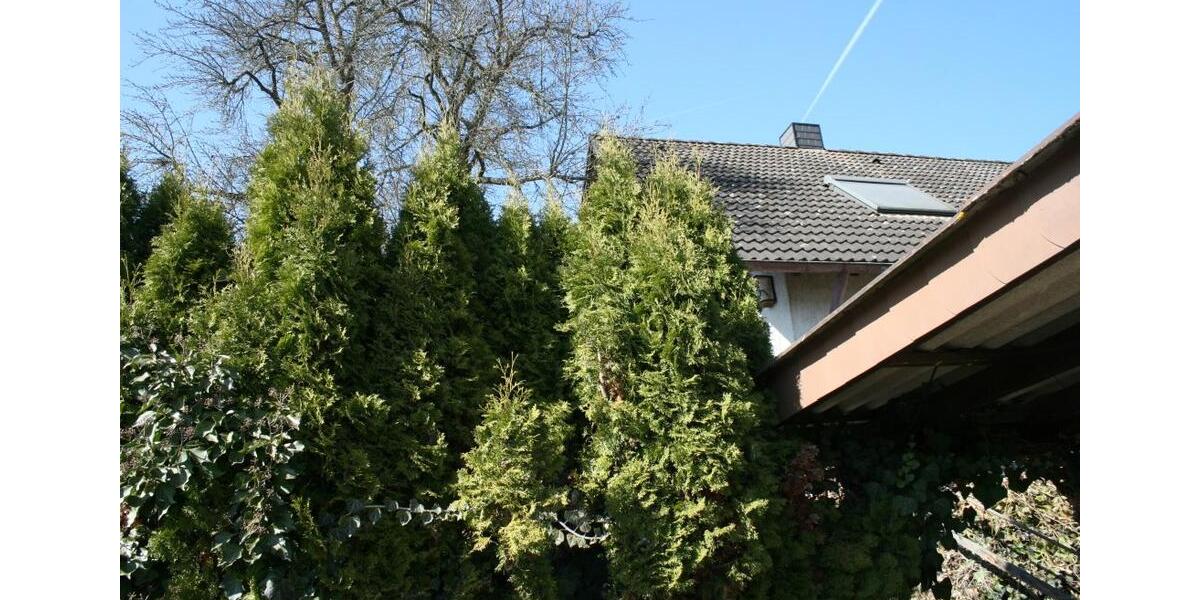 Einfamilienhaus Stegaurach - 5 Zimmer, 240 m&sup2;, 449.000&euro; | Angebot:26891841