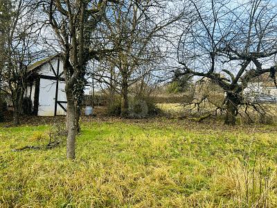 EXKLUSIVER RAUM MIT POTENZIAL - Grundstück Buttenheim | Angebot:27283635