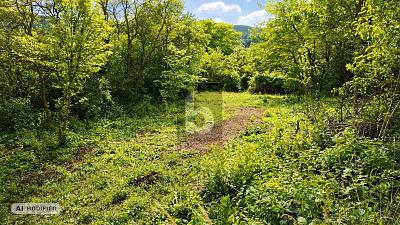 TRAUMSTÜCK IN DER FRÄNKISCHEN LANDSCHAFT - Grundstück Priesendorf | Angebot:27298088