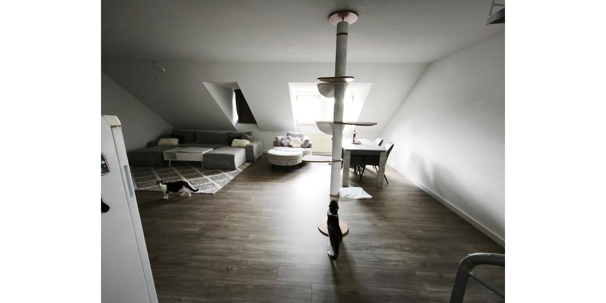 moderne 3 Zi. DG (2. OG) Wohnung mit Balkon und KFZ-Stellplatz - Etagenwohnung Uehlfeld | Angebot:26704502
