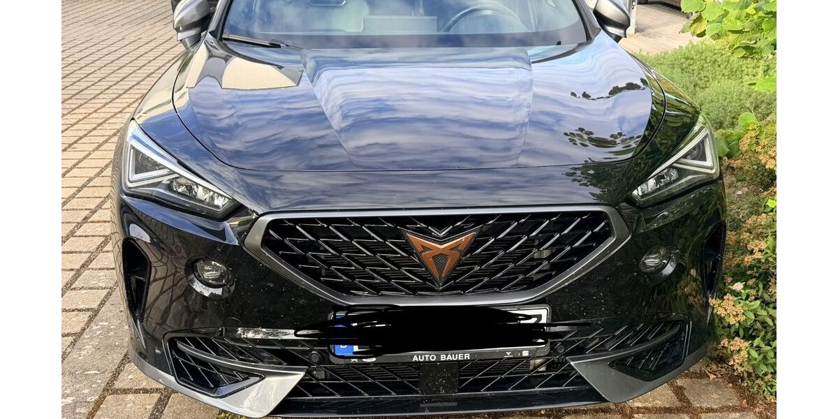 Cupra Formentor 99.150 km 22.500 &euro; Kemmern 96164