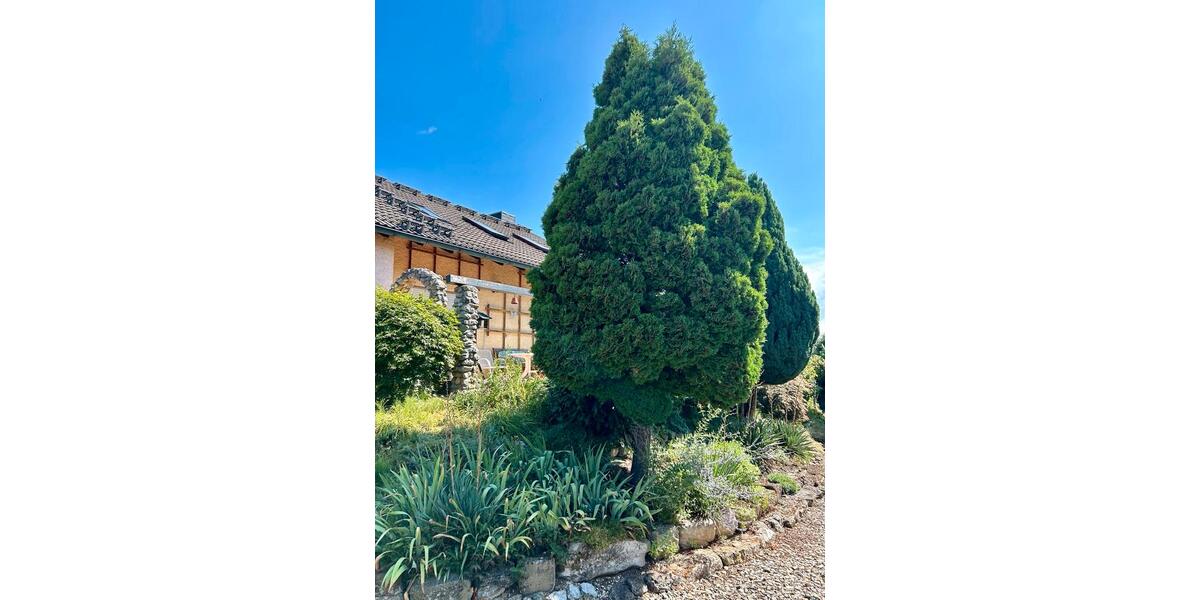 Einfamilienhaus Viereth-Trunstadt Trunstadt - 7 Zimmer, 160 m&sup2;, 650.000&euro; | Angebot:27103502