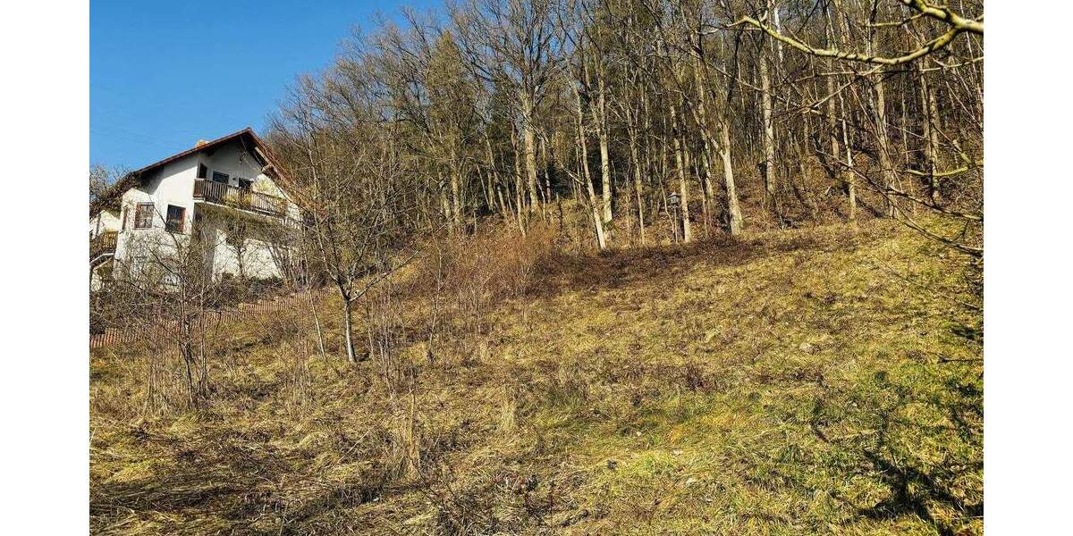 Grundstück Ebelsbach - 150.000&euro; | Angebot:26930986