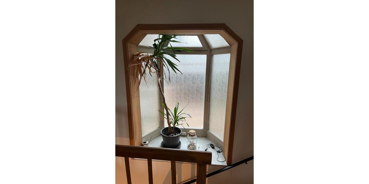 Einfamilienhaus Bischberg - 5 Zimmer, 120 m&sup2;, 250.000&euro; | Angebot:27073260