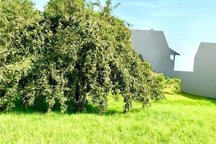 Grundstück Viereth-Trunstadt Trunstadt - 154.999&euro; | Angebot:25027868