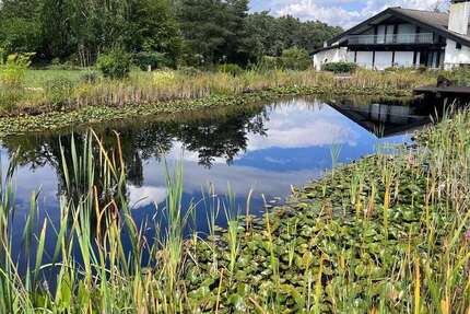 Haus Kleinseebach Kleinseebach - 10 Zimmer, 591 m&sup2;, 1.350.000&euro; | Angebot:26217019