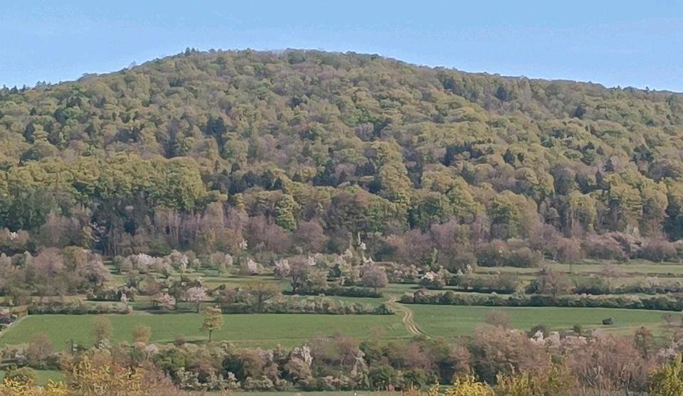 Einfamilienhaus Pretzfeld - 7 Zimmer, 140 m&sup2;, 499.000&euro; | Angebot:26299841