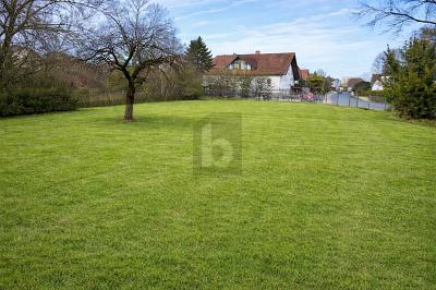 EXKLUSIVER RAUM MIT POTENZIAL - Grundstück Buttenheim | Angebot:26608848