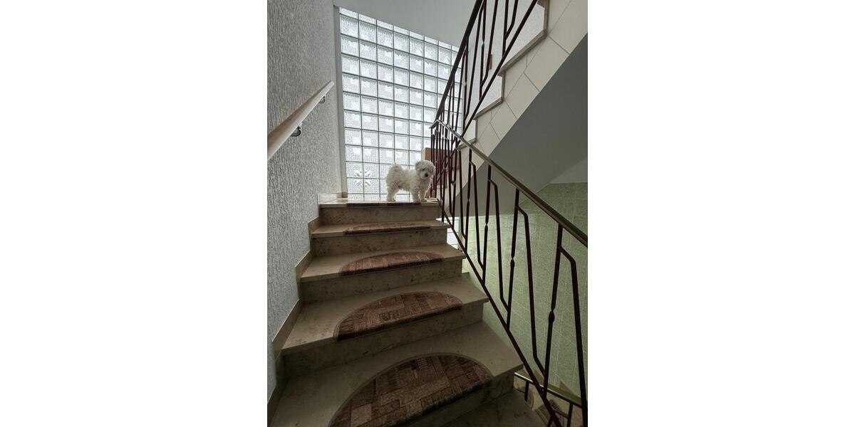 Mehrfamilienhaus, Wohnhaus Rattelsdorf - 8 Zimmer, 200 m&sup2;, 450.000&euro; | Angebot:26580541