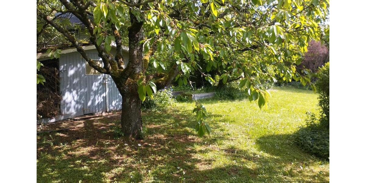 Einfamilienhaus Gundelsheim - 10 Zimmer, 260 m&sup2;, 875.000&euro; | Angebot:26840078