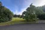 Grundstück Hallerndorf Trailsdorf - 249.000&euro; | Angebot:26794217