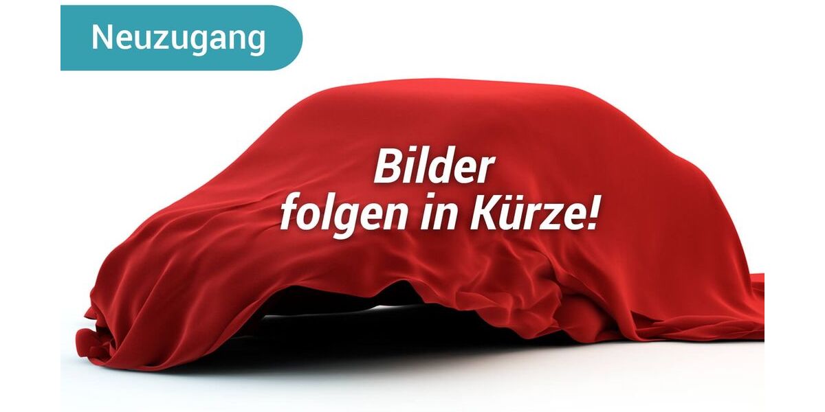 VW Beetle 129.745 km 15.690 &euro; Lonnerstadt 91475