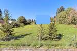 Grundstück Uehlfeld - 249.000&euro; | Angebot:25741327