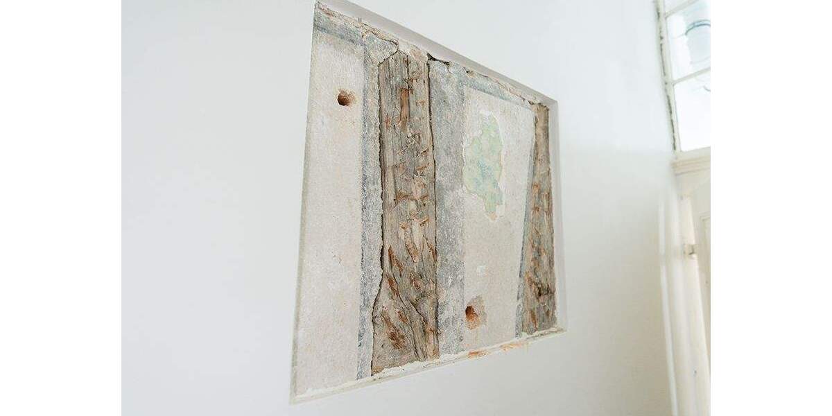 Mehrfamilienhaus, Wohnhaus Bamberg Gärtnerstadt - 2 Zimmer, 500 m&sup2;, 2.700.000&euro; | Angebot:25777844