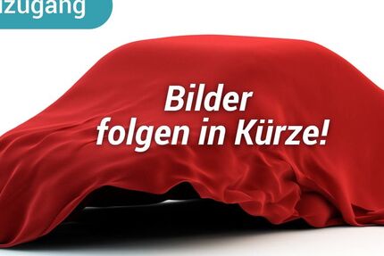 VW Beetle 129.745 km 15.690 &euro; Lonnerstadt 91475