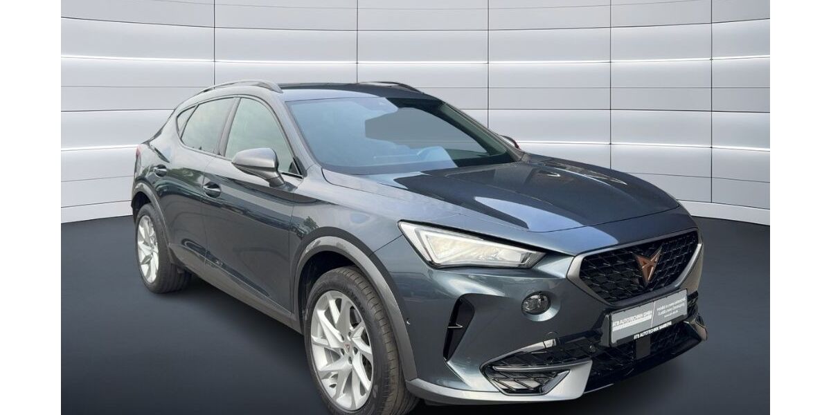 Cupra Formentor 56.600 km 24.990 &euro; Bamberg 96052