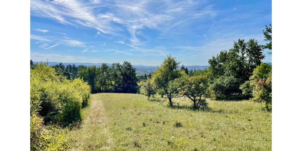 Gewerbeobjekt Hallstadt - 63.000&euro; | Angebot:26013418