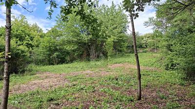 TRAUMSTÜCK IN DER FRÄNKISCHEN LANDSCHAFT - Grundstück Priesendorf | Angebot:26890355