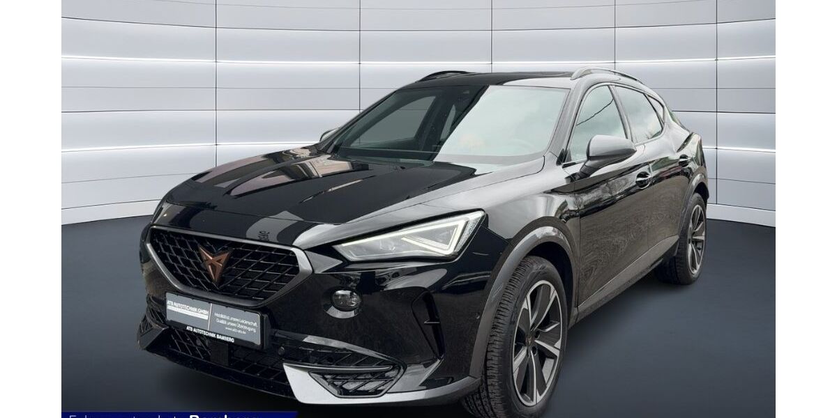 Cupra Formentor 93.600 km 25.450 &euro; Bamberg 96052