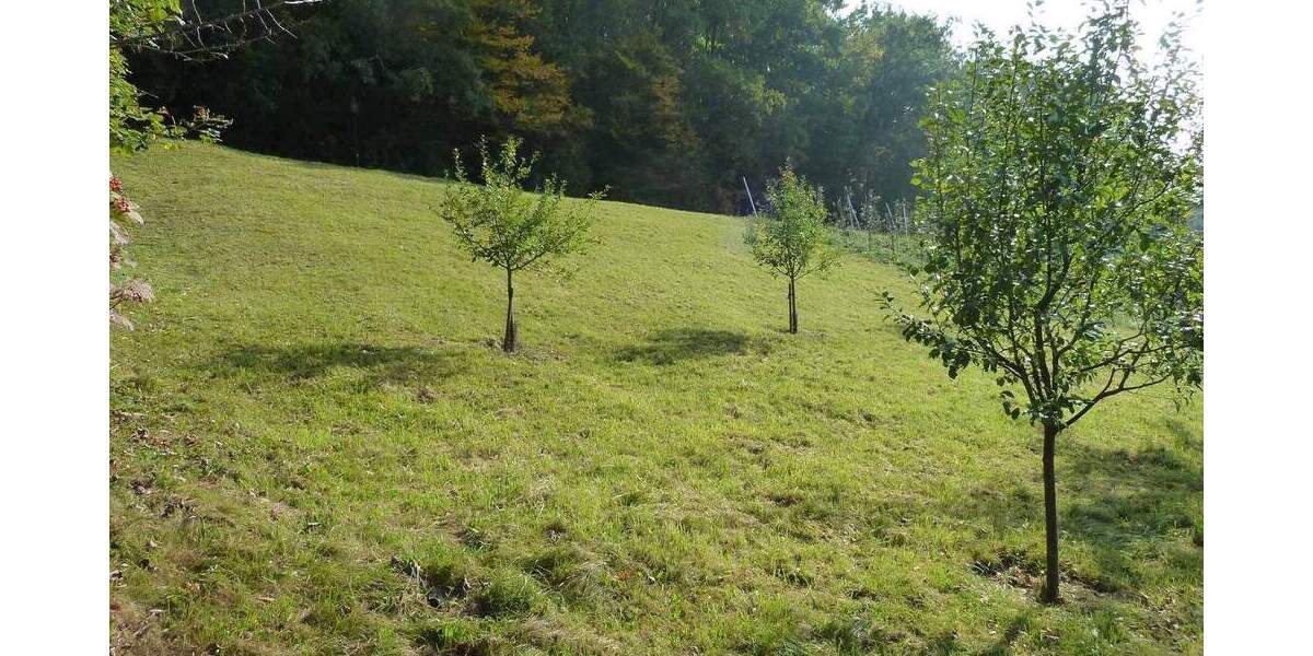 Grundstück Ebelsbach - 150.000&euro; | Angebot:26930986