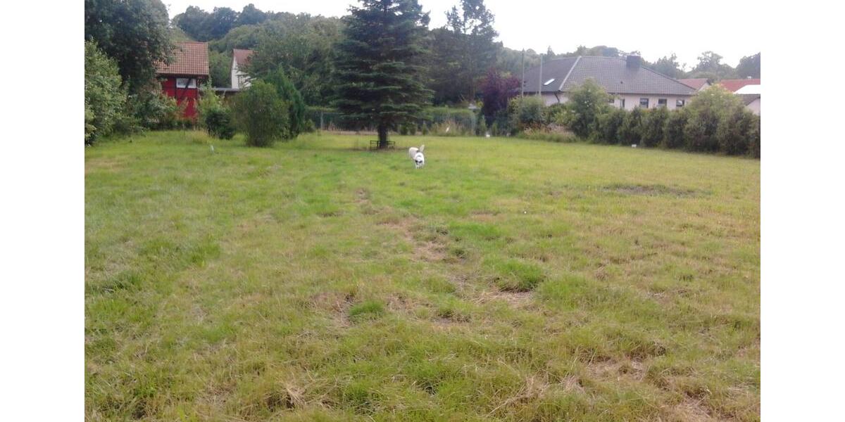 Einfamilienhaus Ebensfeld - 8 Zimmer, 240 m&sup2;, 500.000&euro; | Angebot:25237042