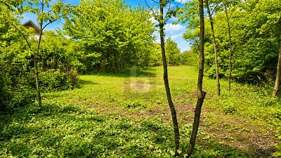 TRAUMSTÜCK IN DER FRÄNKISCHEN LANDSCHAFT - Grundstück Priesendorf | Angebot:27016536