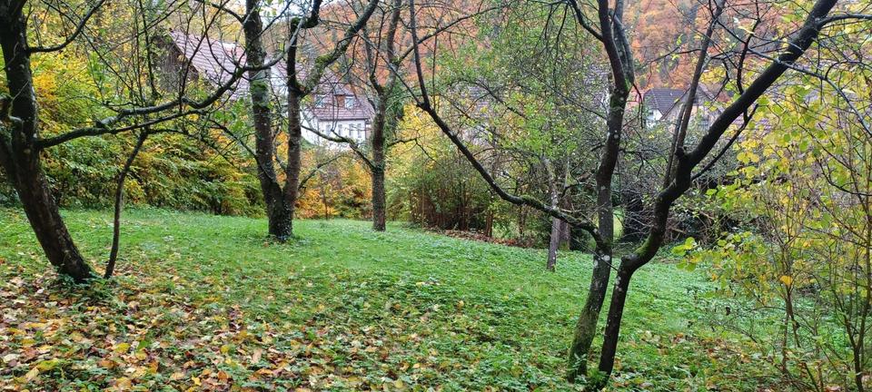 Bauernhaus, Landhaus Wiesenttal - 85.000&euro; | Angebot:24369211