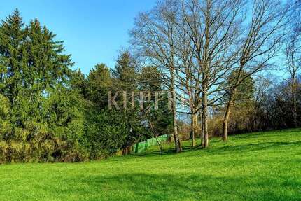 Grundstück Forchheim - 650.000&euro; | Angebot:27330197