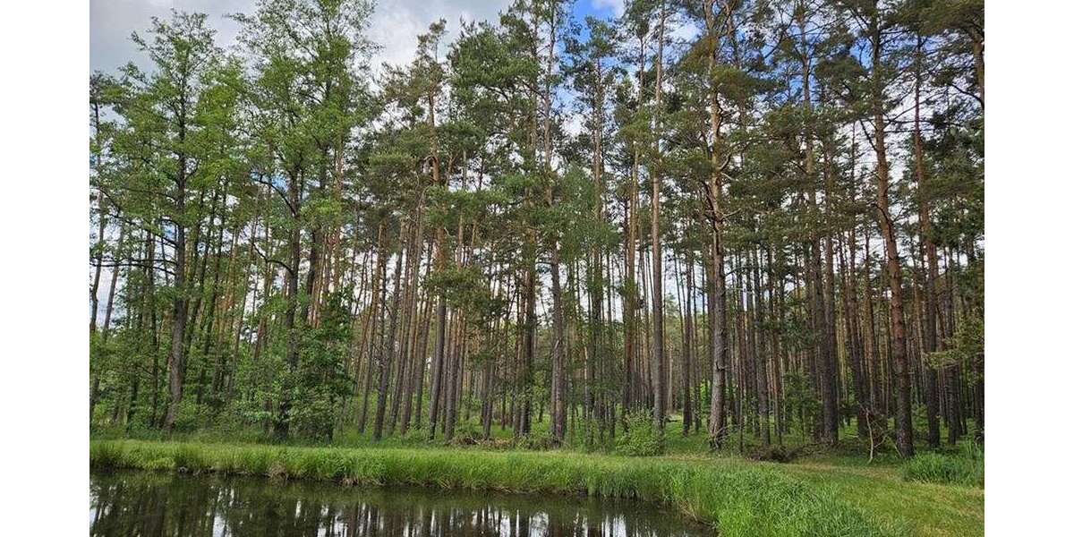 Grundstück Gremsdorf - 14.840&euro; | Angebot:27032590