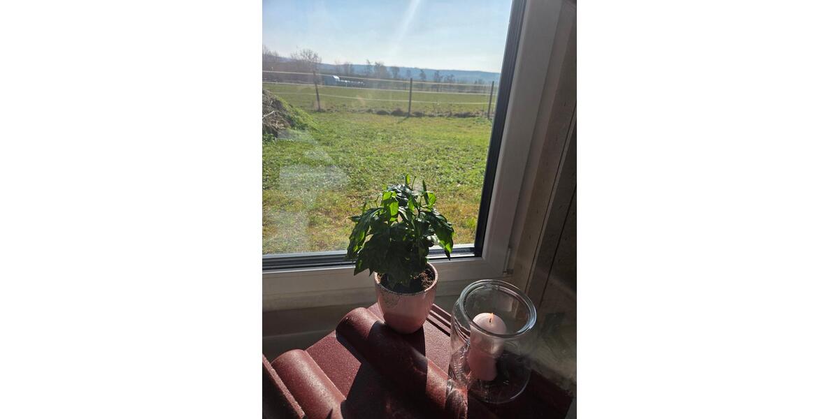 Einfamilienhaus Scheßlitz - 8 Zimmer, 200 m&sup2;, 399.000&euro; | Angebot:25830926