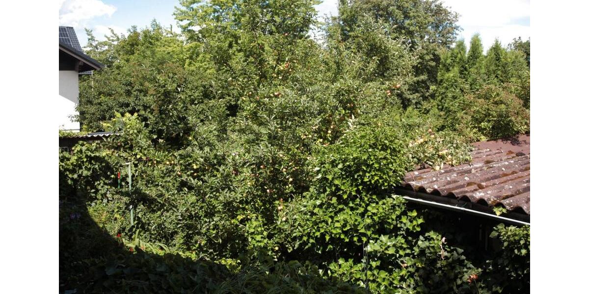 Einfamilienhaus Stegaurach - 5 Zimmer, 280 m&sup2;, 449.000&euro; | Angebot:26127433